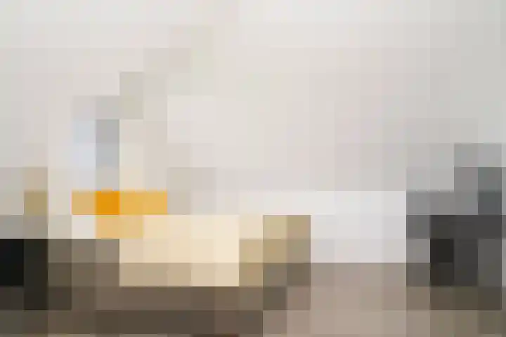 Tobias Asserlaan 9 Zaltbommel thumbnail 33