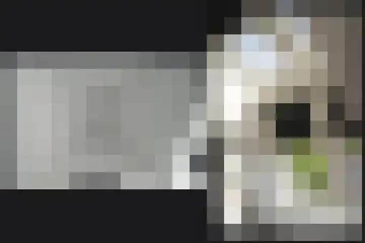 Tobias Asserlaan 9 Zaltbommel thumbnail 34