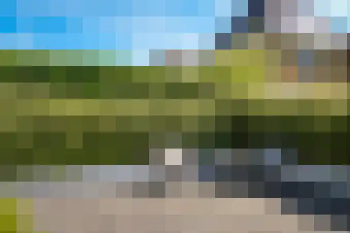 Tobias Asserlaan 9 Zaltbommel thumbnail 40