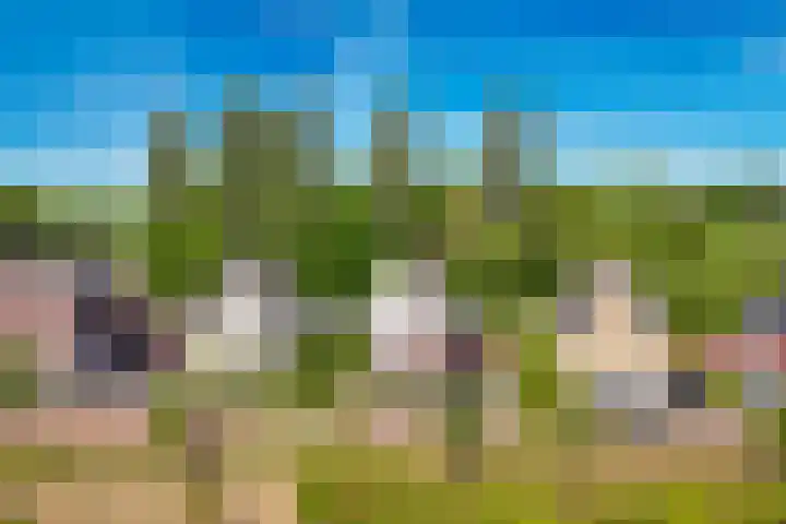 Tobias Asserlaan 9 Zaltbommel thumbnail 52