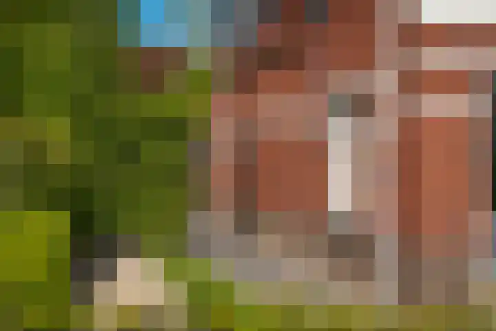 Tobias Asserlaan 9 Zaltbommel thumbnail 56