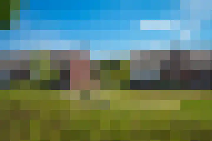 Tobias Asserlaan 9 Zaltbommel thumbnail 58