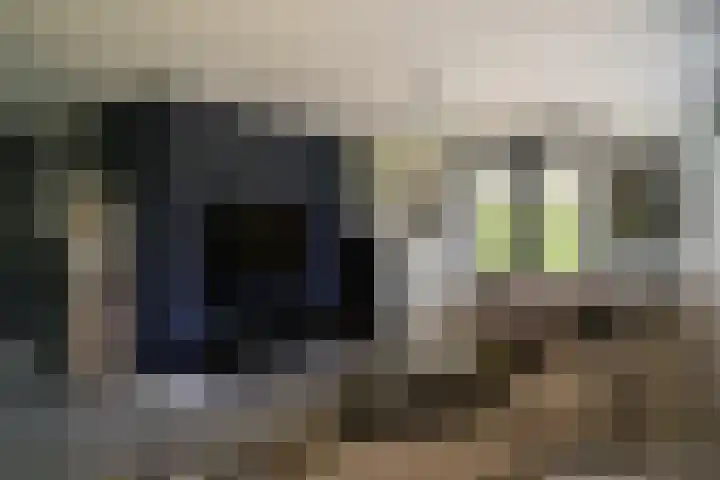 Tobias Asserlaan 9 Zaltbommel thumbnail 6