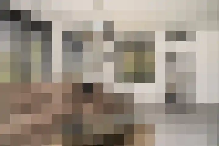 Tobias Asserlaan 9 Zaltbommel thumbnail 8