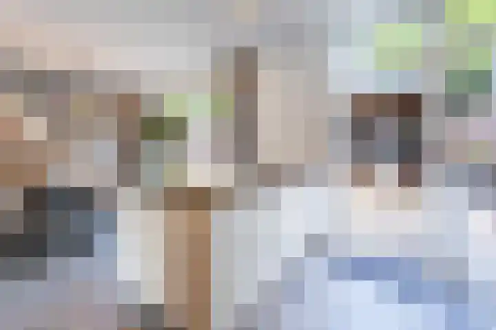 Tobias Asserstraat 12 Goirle thumbnail 12