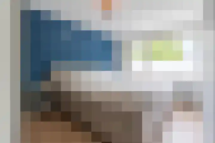 Tobias Asserstraat 12 Goirle thumbnail 17