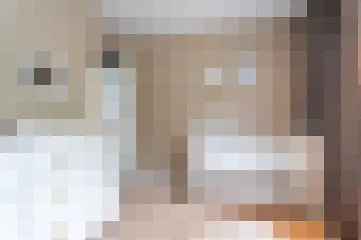 Tobias Asserstraat 12 Goirle thumbnail 22
