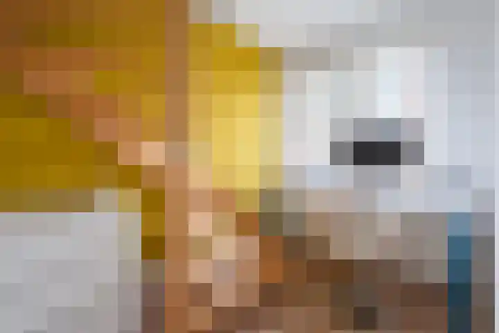 Tobias Asserstraat 12 Goirle thumbnail 23