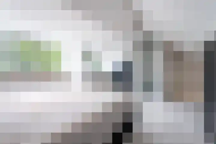 Tobias Asserstraat 12 Goirle thumbnail 27