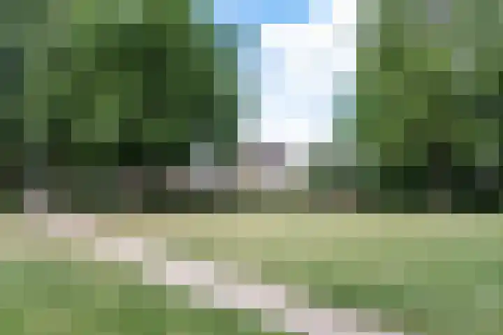 Tobias Asserstraat 12 Goirle thumbnail 38