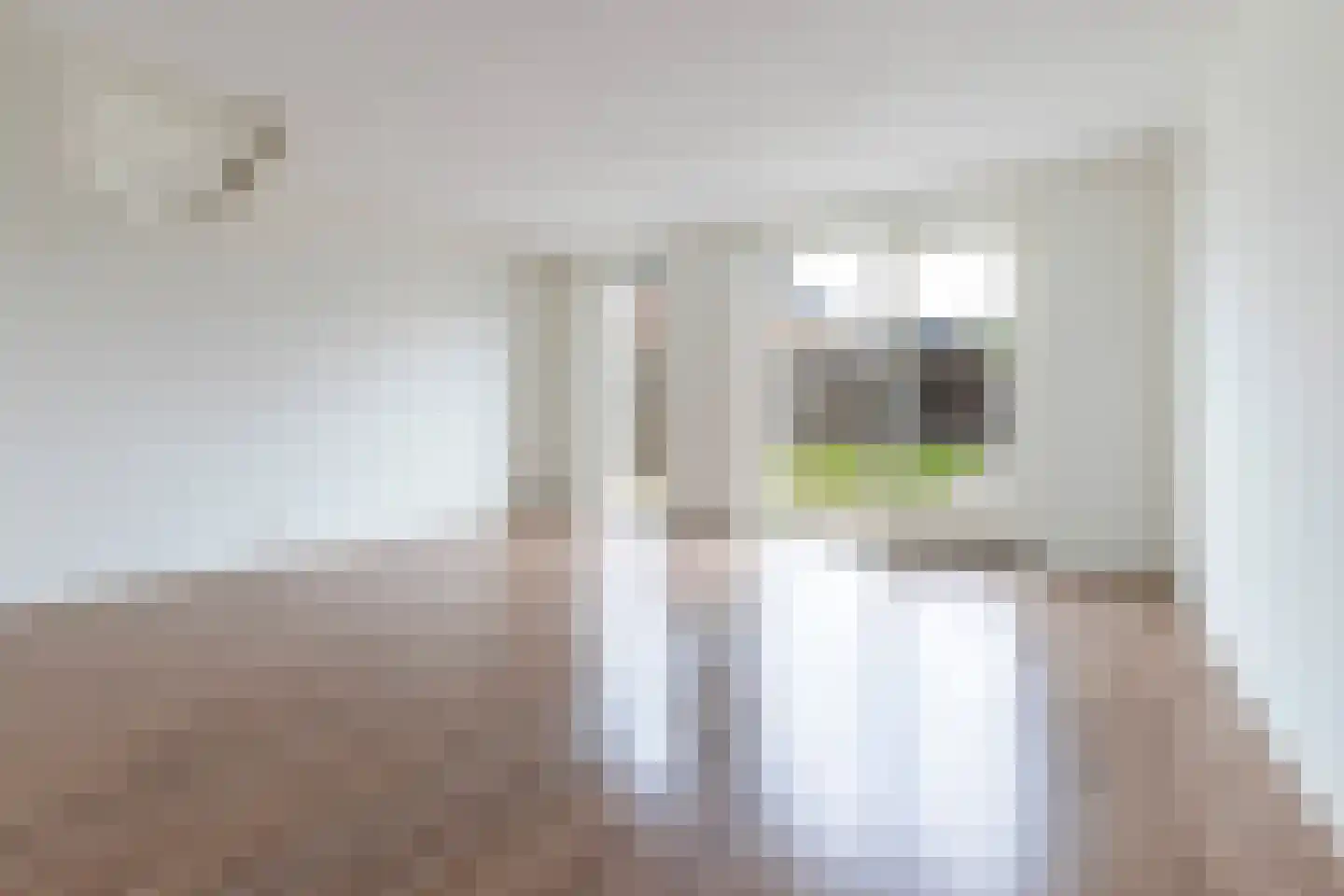 Tobias Asserstraat 14 Hengelo thumbnail 7