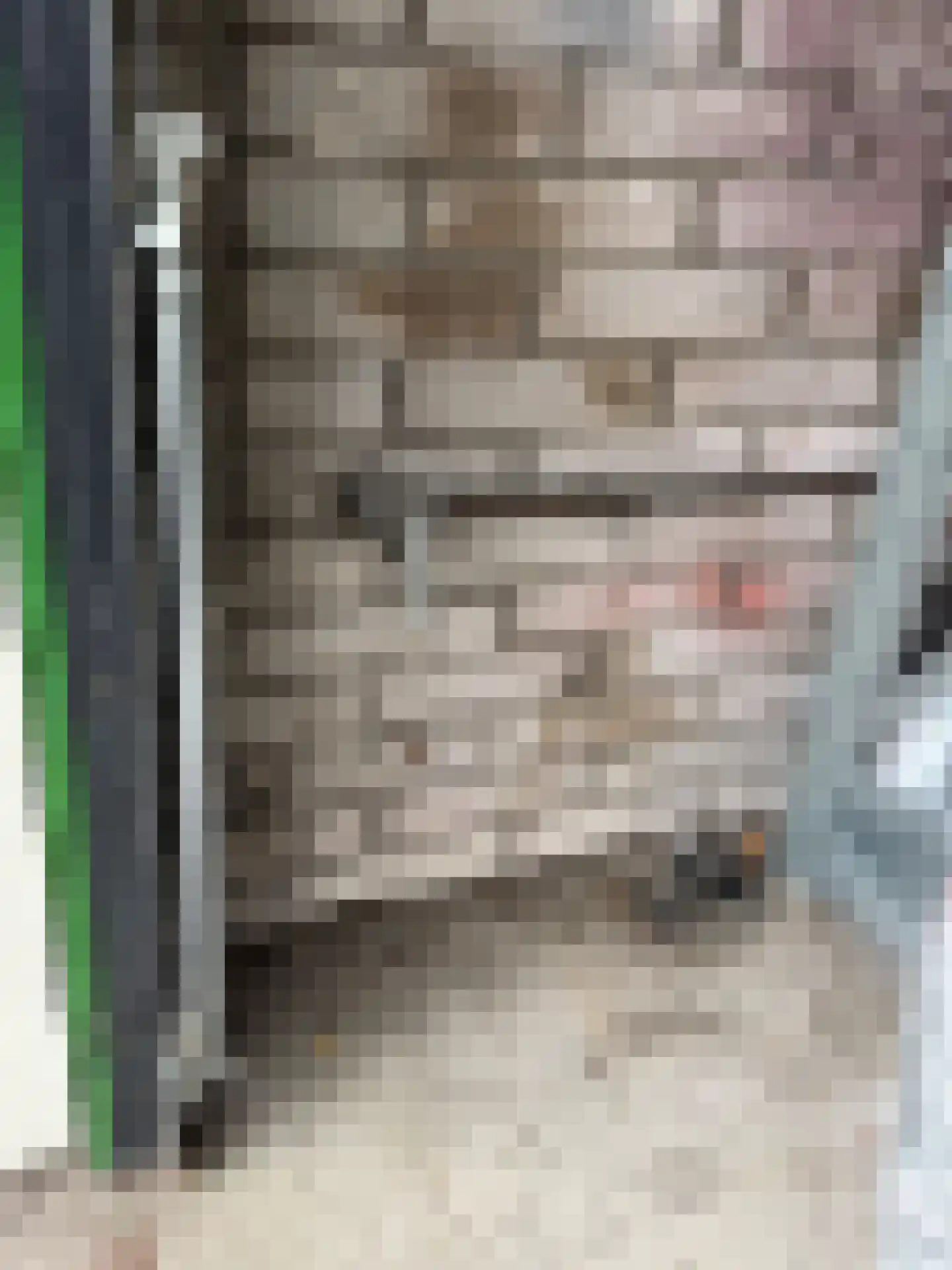 Tobias M.C. Asserstraat 15 Amsterdam thumbnail 5