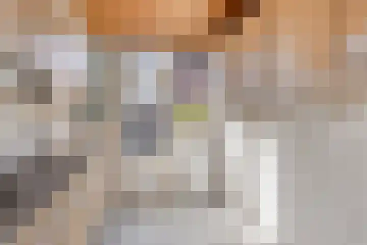 Toccata 122 Krimpen aan den IJssel thumbnail 10