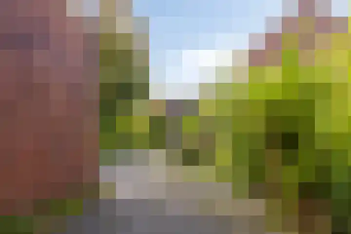 Toccata 122 Krimpen aan den IJssel thumbnail 28