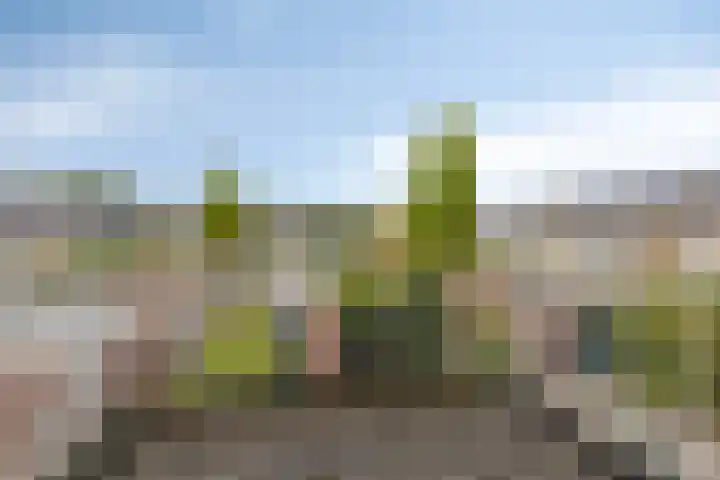 Toccata 130 Krimpen aan den IJssel thumbnail 14