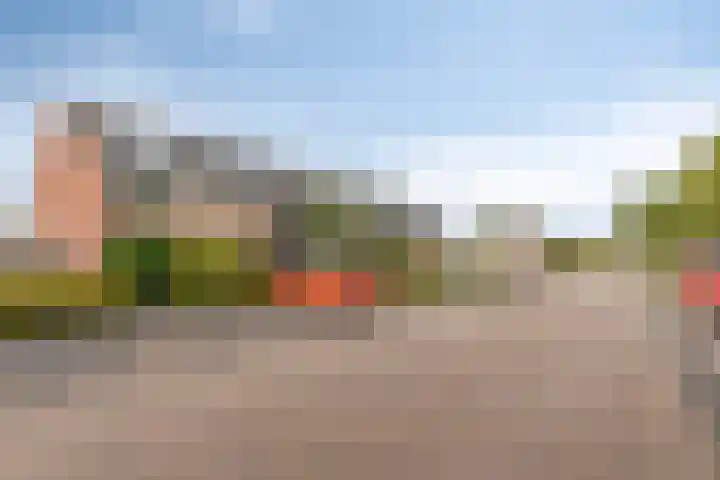 Toccata 130 Krimpen aan den IJssel thumbnail 27