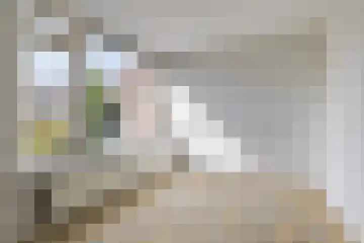 Toccata 130 Krimpen aan den IJssel thumbnail 6