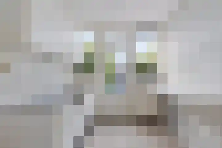 Toccata 130 Krimpen aan den IJssel thumbnail 8