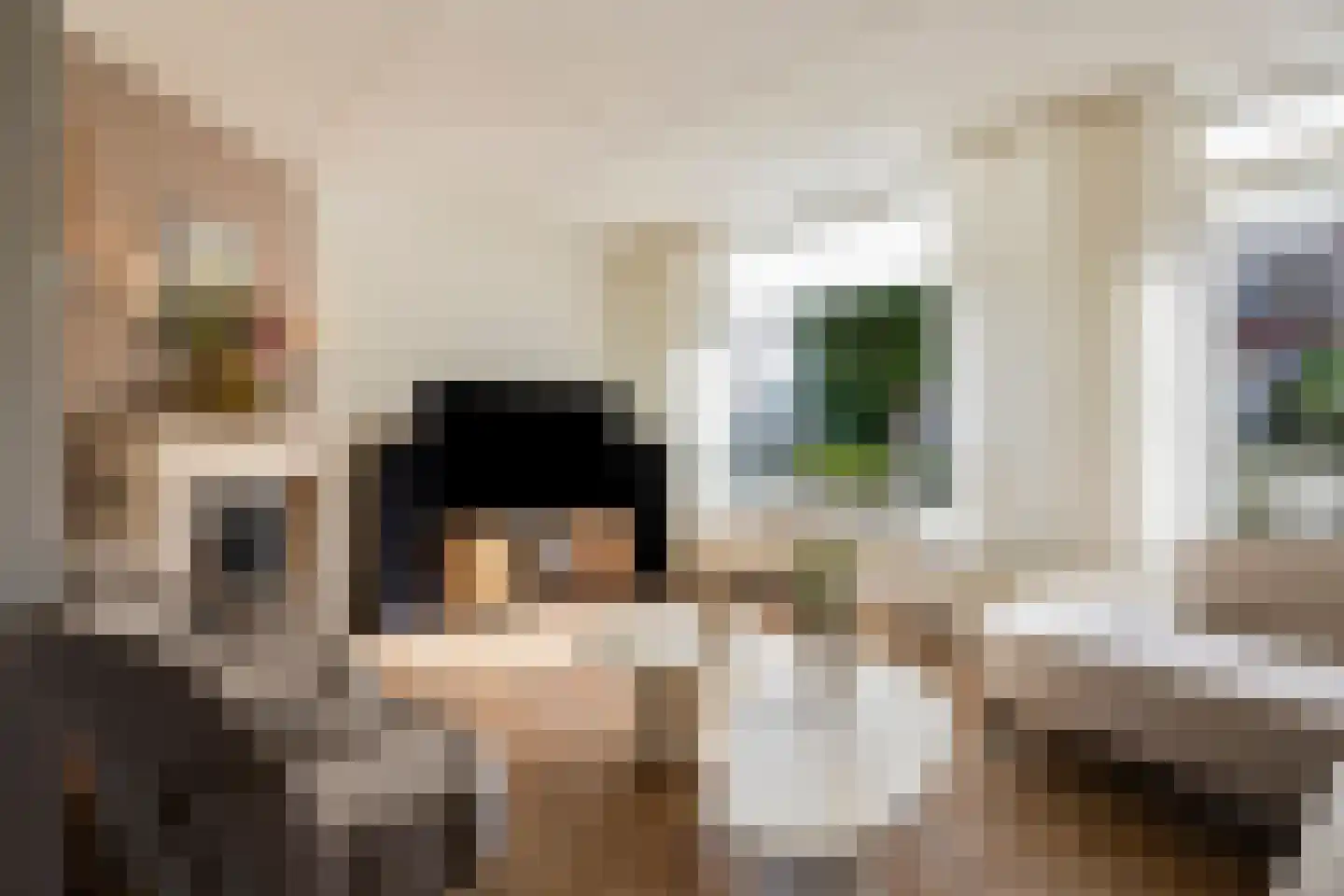 Toccatastraat 13 Enschede thumbnail 8
