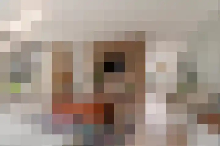 Toccatastraat 2 Almere thumbnail 20