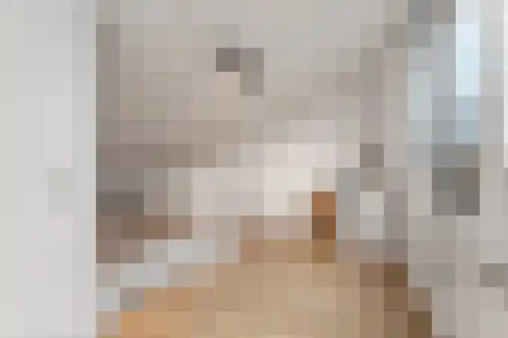 Toccatastraat 2 Almere thumbnail 46