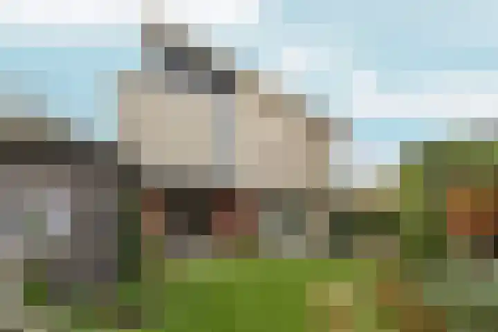 Toccatastraat 2 Almere thumbnail 54