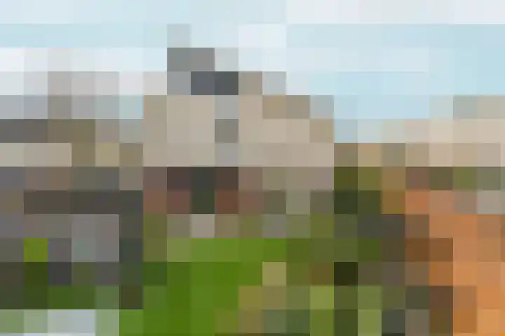 Toccatastraat 2 Almere thumbnail 55