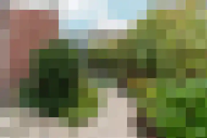 Toccatastraat 2 Almere thumbnail 61