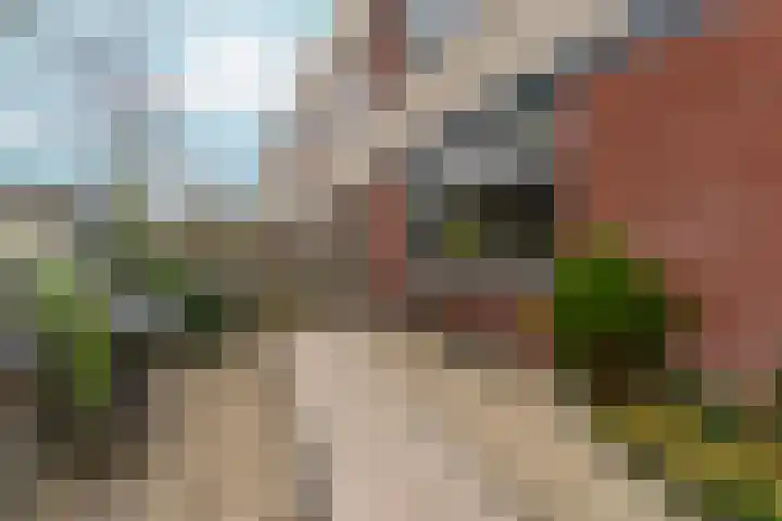 Toccatastraat 2 Almere thumbnail 9