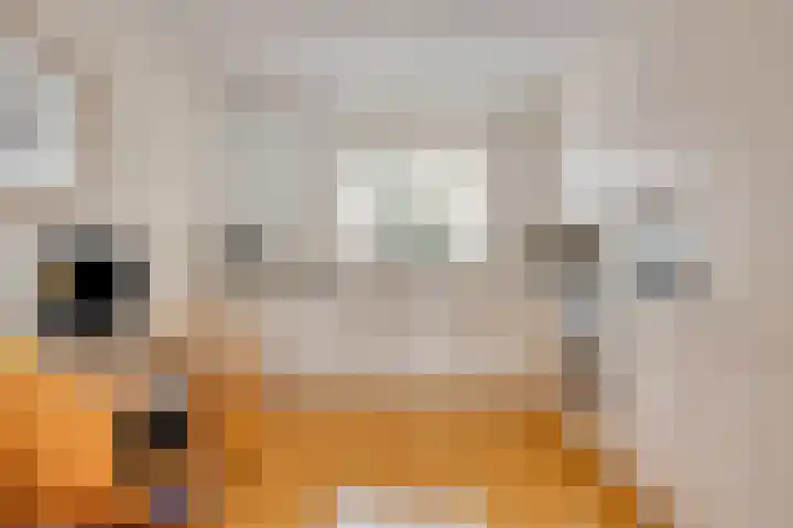 Toccatastraat 25 Almere thumbnail 16