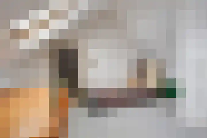 Toccatastraat 25 Almere thumbnail 28