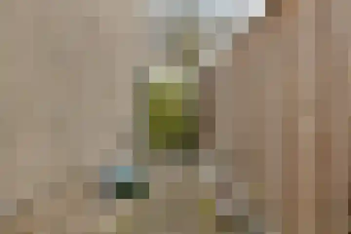 Toccatastraat 25 Almere thumbnail 30