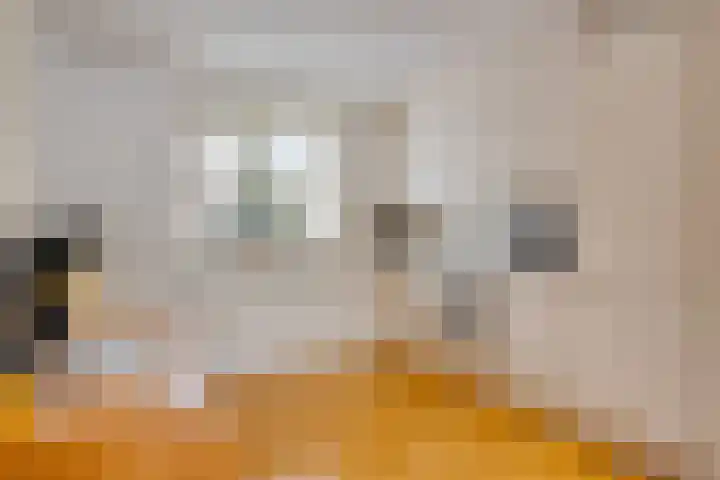 Toccatastraat 25 Almere thumbnail 4