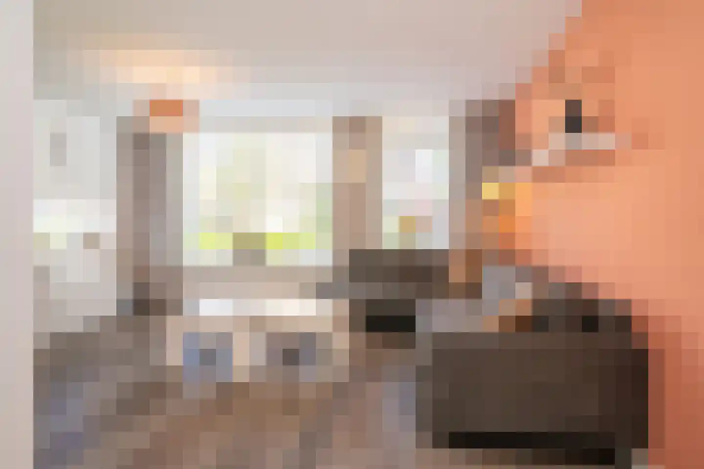 Toccatastraat 32 Enschede thumbnail 8