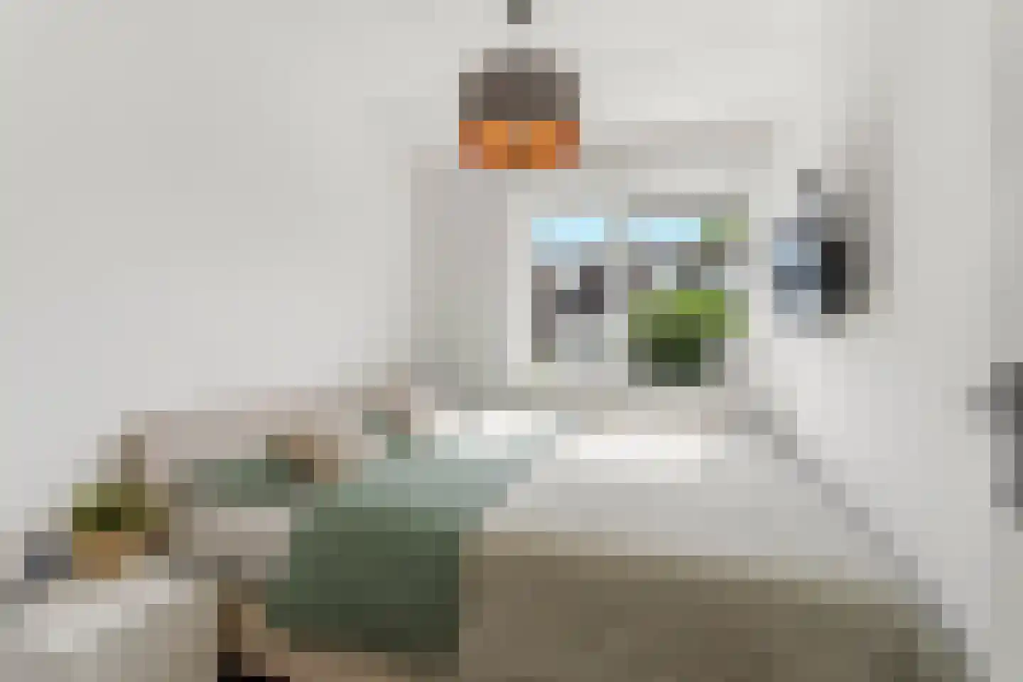 Toccatastraat 35 Almere thumbnail 26