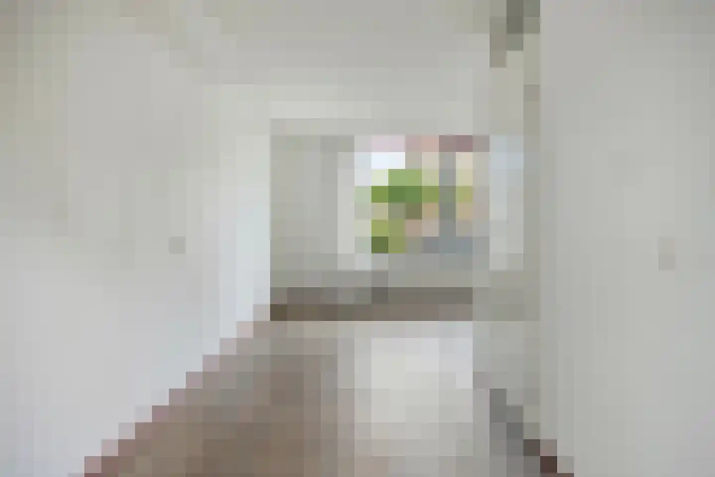 Toccatastraat 53 A Enschede thumbnail 13