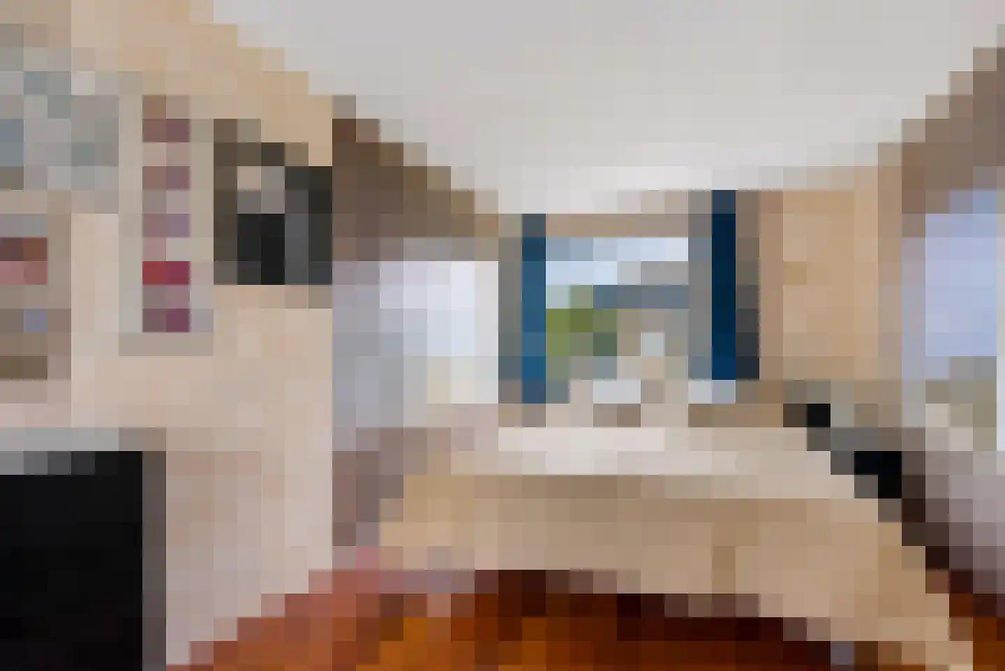 Toccatastraat 64 Almere thumbnail 23