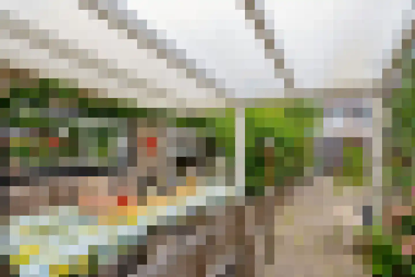 Toccatastraat 64 Almere thumbnail 45