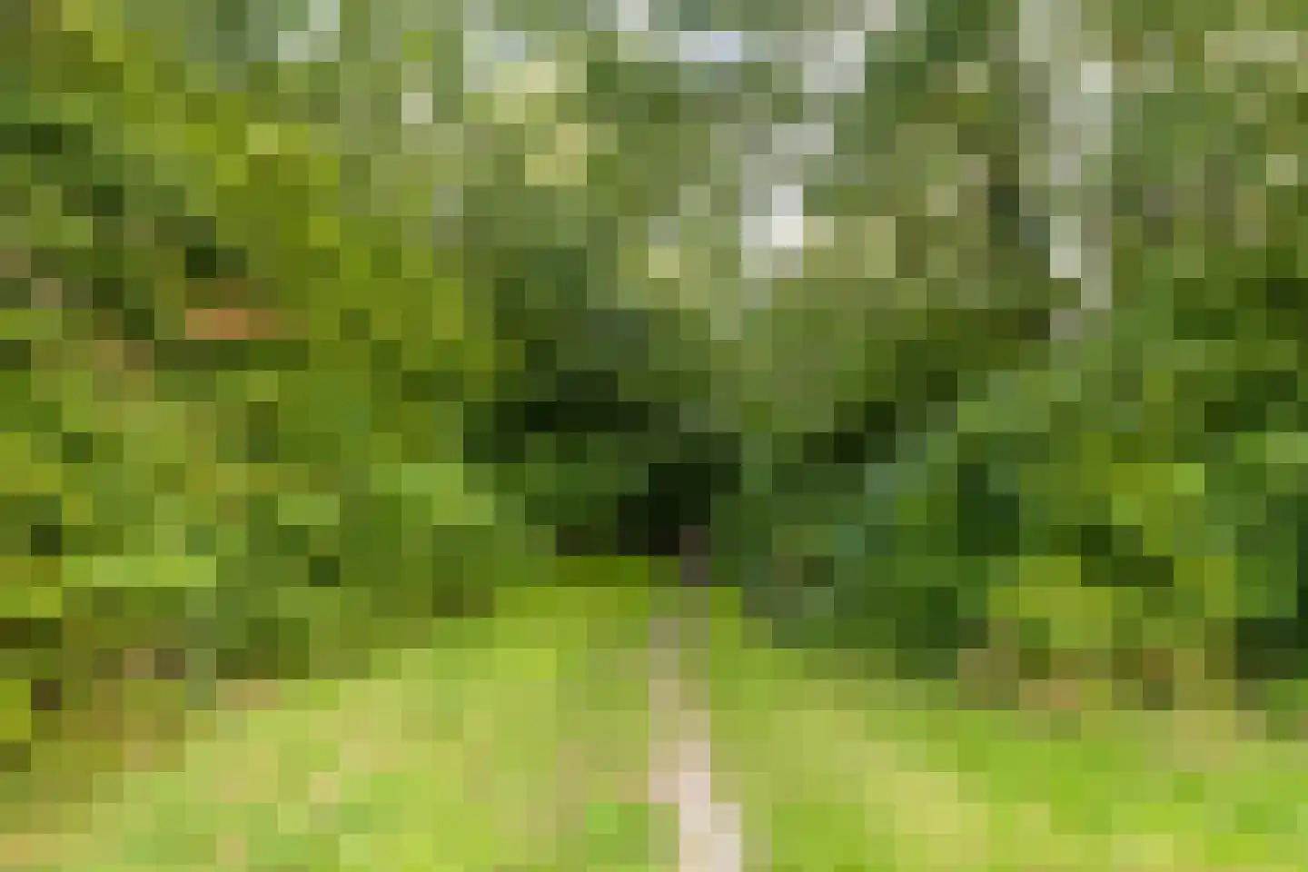 Toccatastraat 73 Almere thumbnail 33