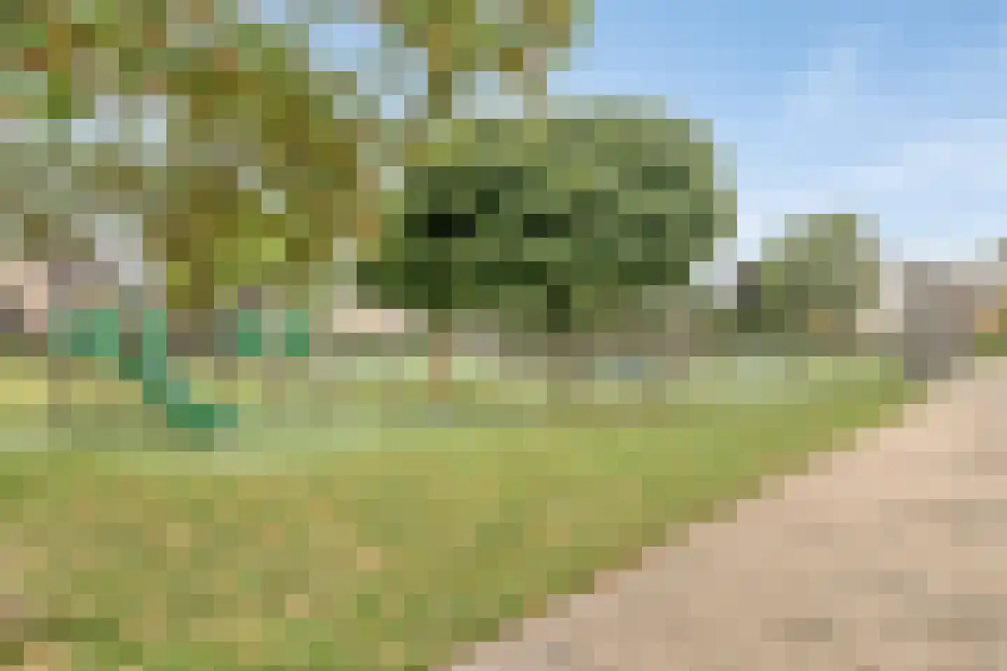 Tochtenweg 23 Rotterdam thumbnail 31