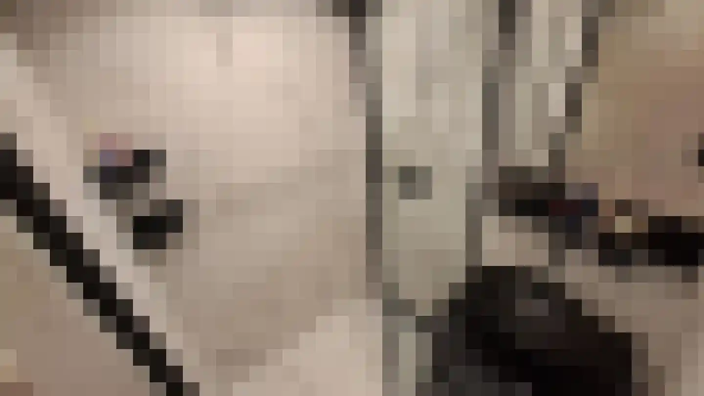 Tochtenweg 50 Rotterdam thumbnail 6
