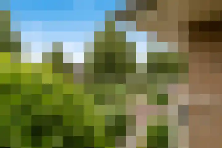 Tochtleede 13 Barendrecht thumbnail 33