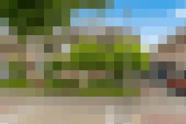 Tochtleede 13 Barendrecht thumbnail 4