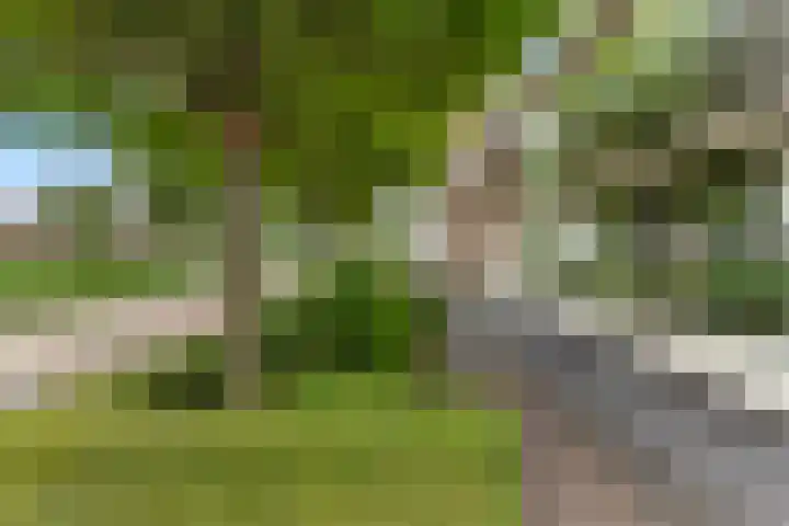 Tochtleede 13 Barendrecht thumbnail 5