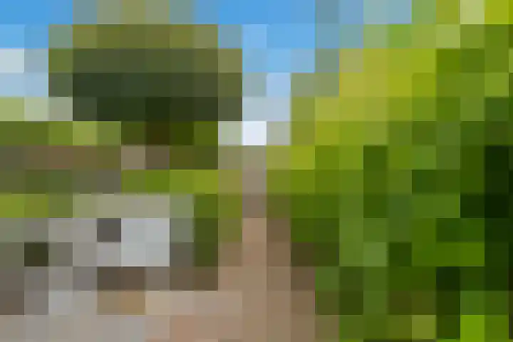Tochtleede 13 Barendrecht thumbnail 53
