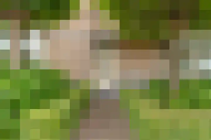 Tochtleede 13 Barendrecht thumbnail 6