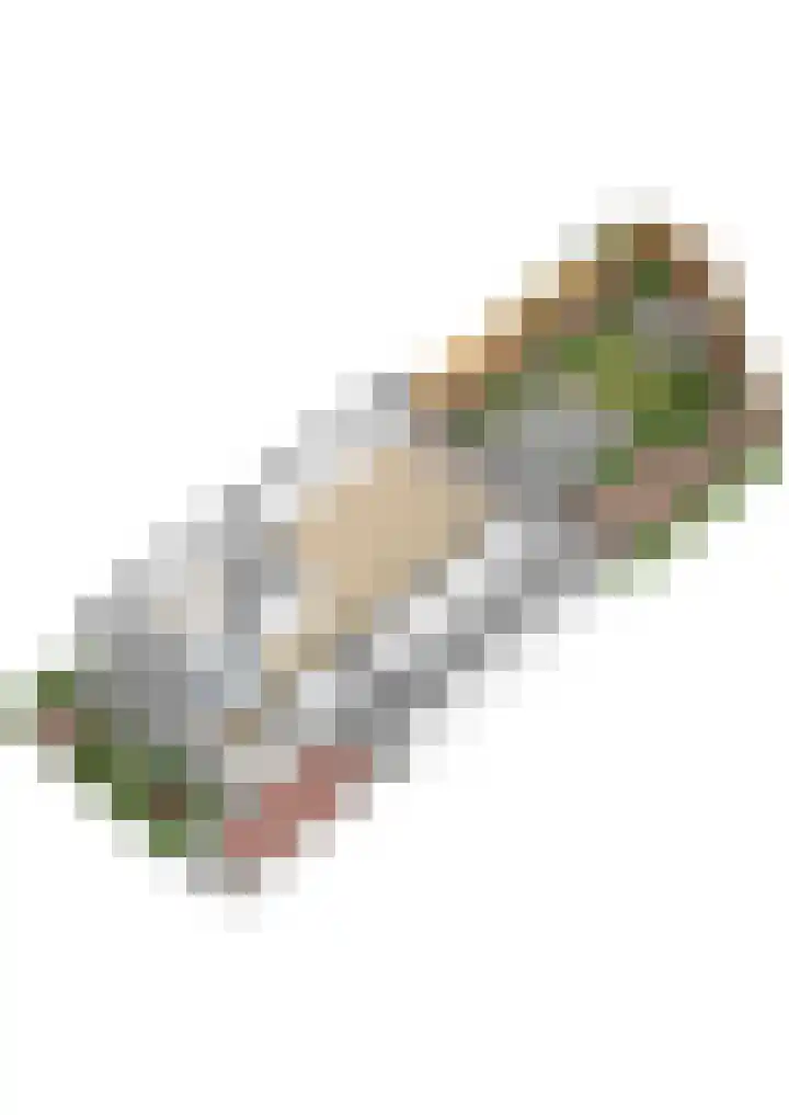 Tochtleede 13 Barendrecht thumbnail 64