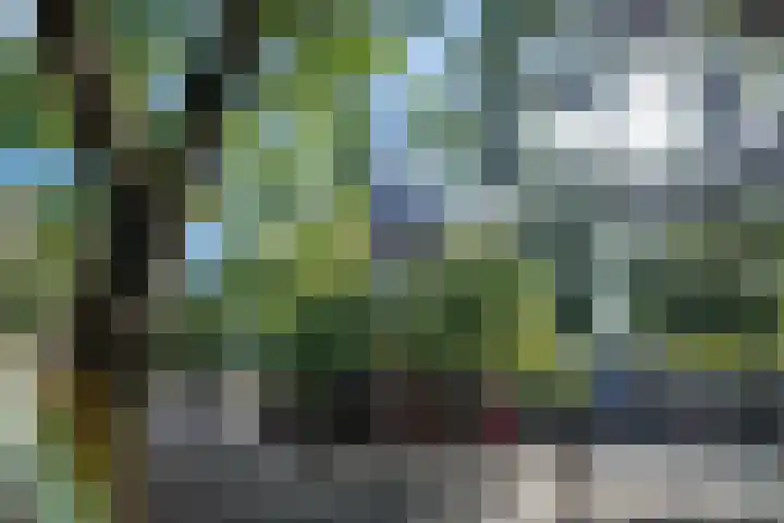 Tochtstraat 5 C Rotterdam thumbnail 27