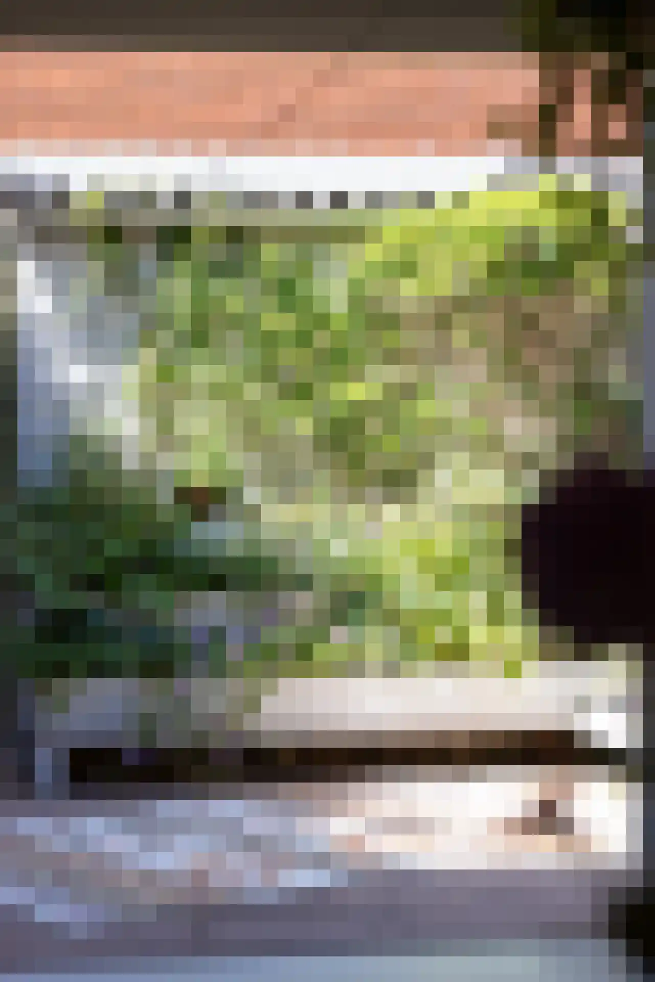 Tochtstraat 65 Rotterdam thumbnail 46