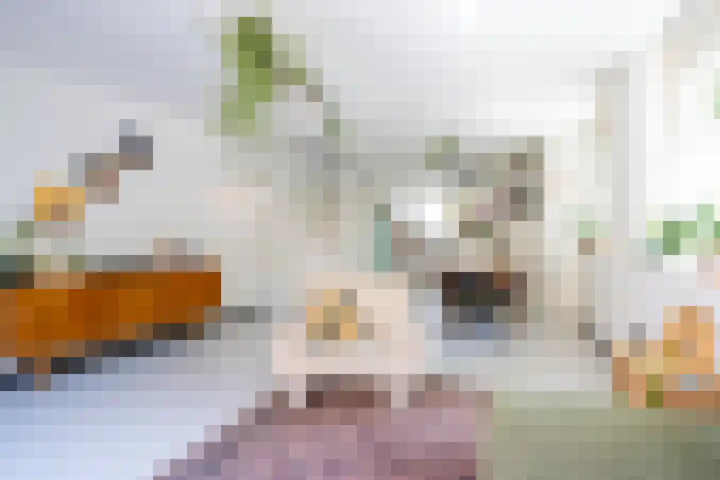 Tochtstraat 65 Rotterdam thumbnail 6